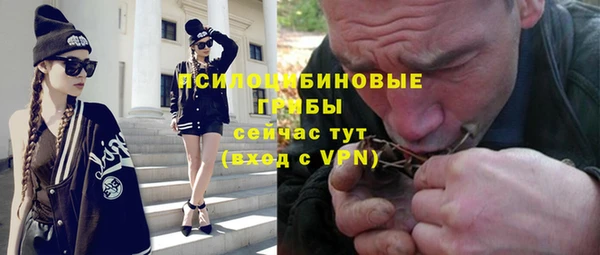 мдпв Богородицк