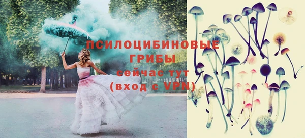 ешки Богданович